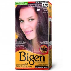 T Bigen Po 96 Borgonha